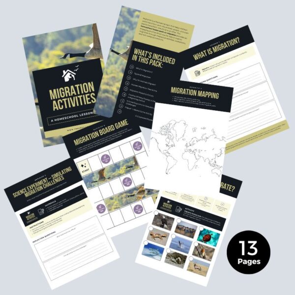 Migration Activities Worksheets